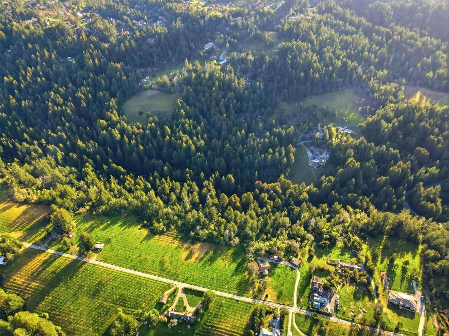 Loma Prieta