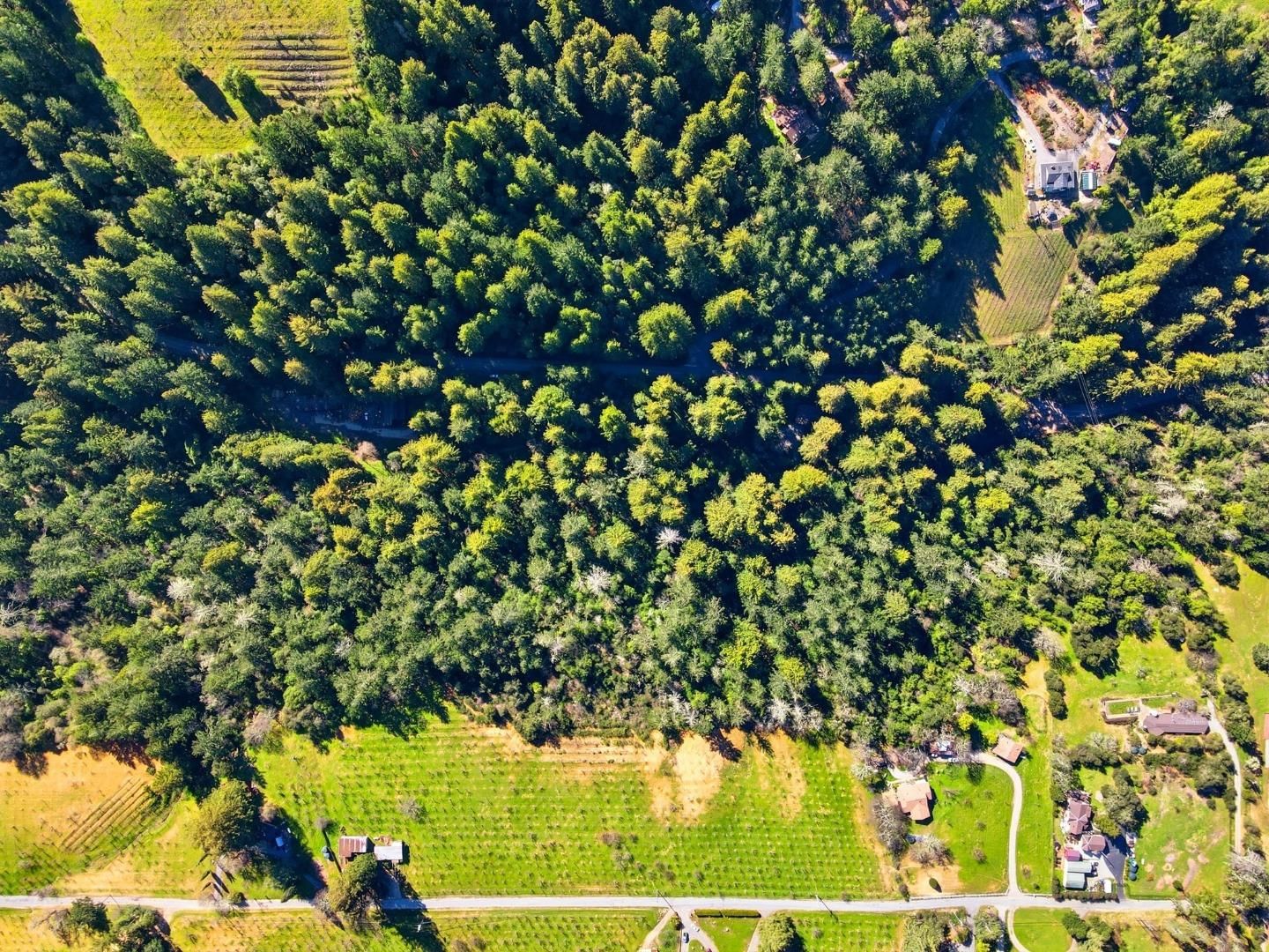 Loma Prieta