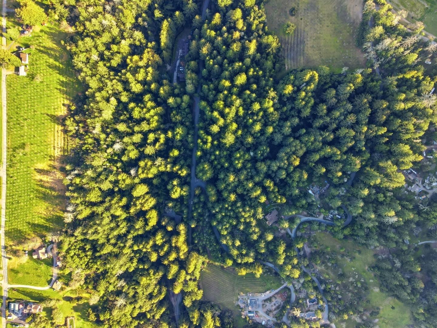 Loma Prieta