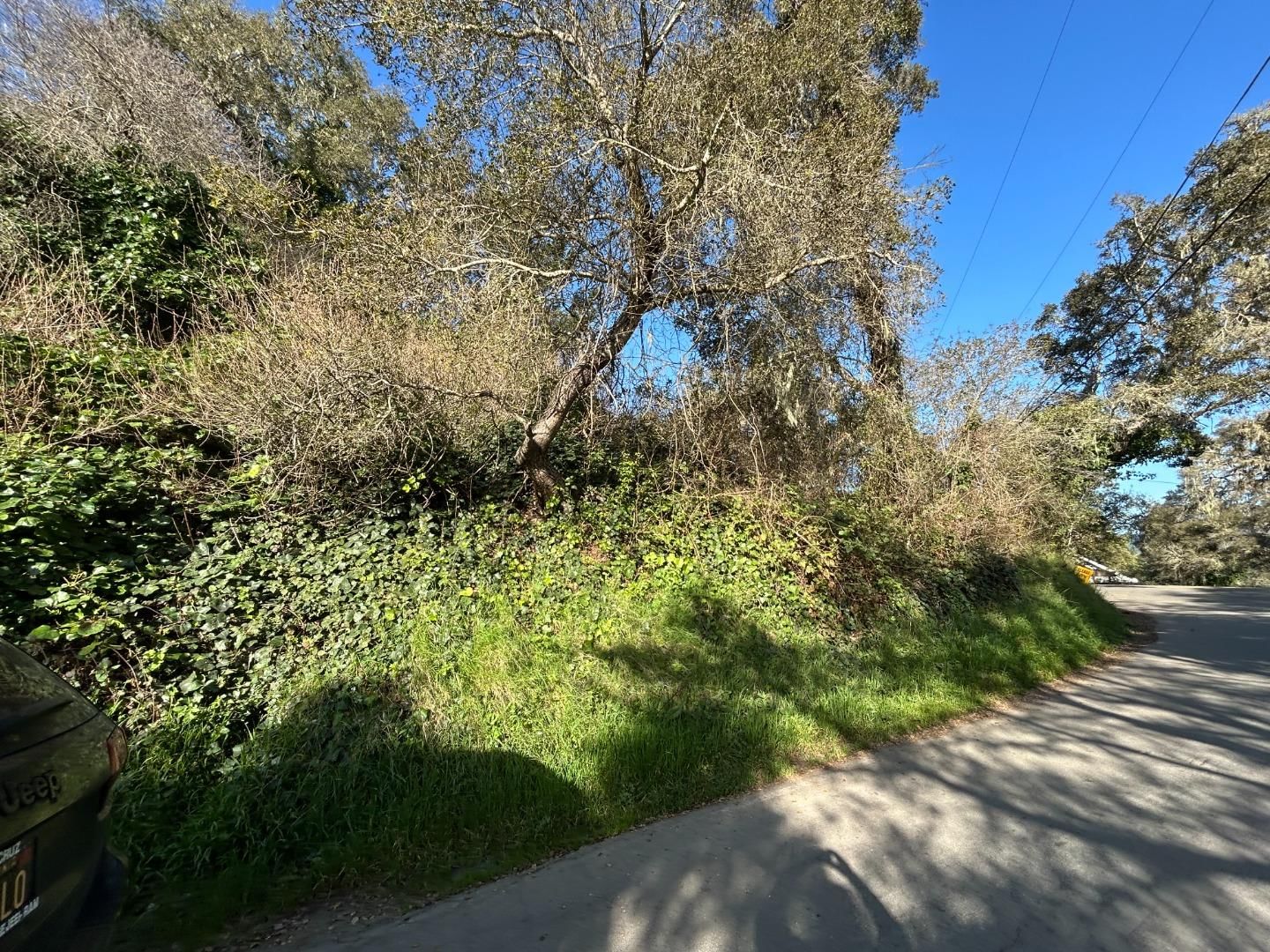 Loma Prieta