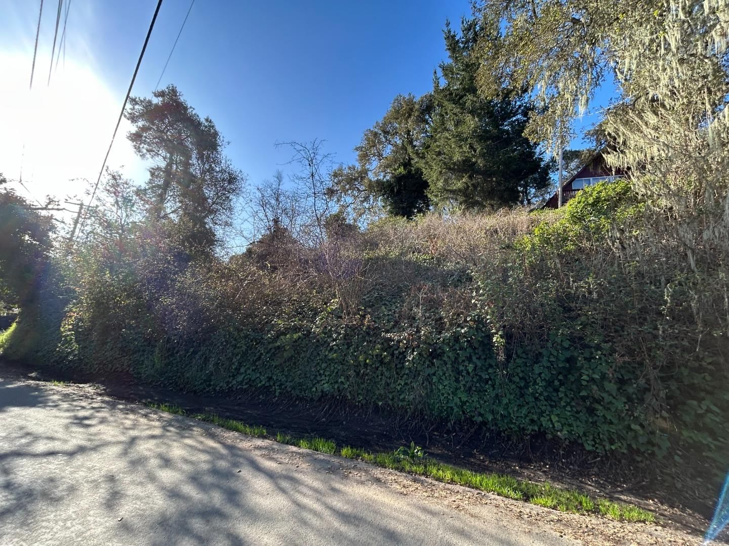 Loma Prieta