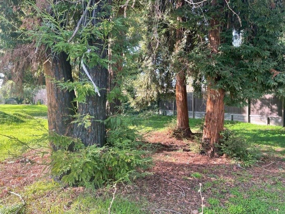 Huntwood