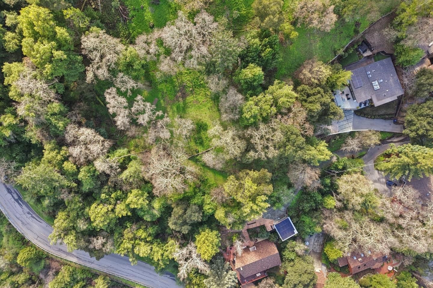 Foxwood Road