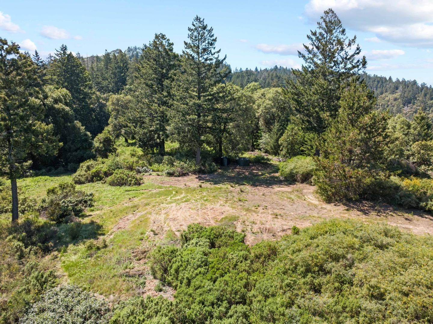 Big Basin