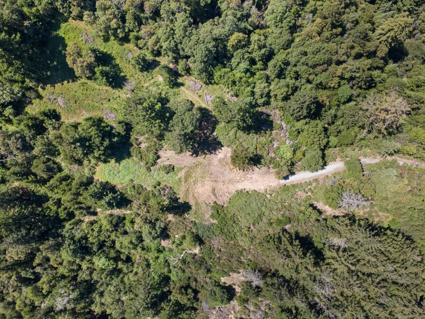 Big Basin