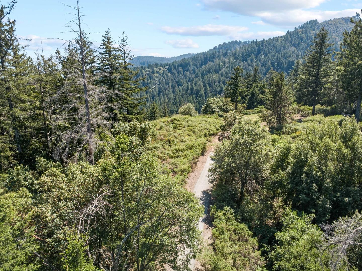 Big Basin