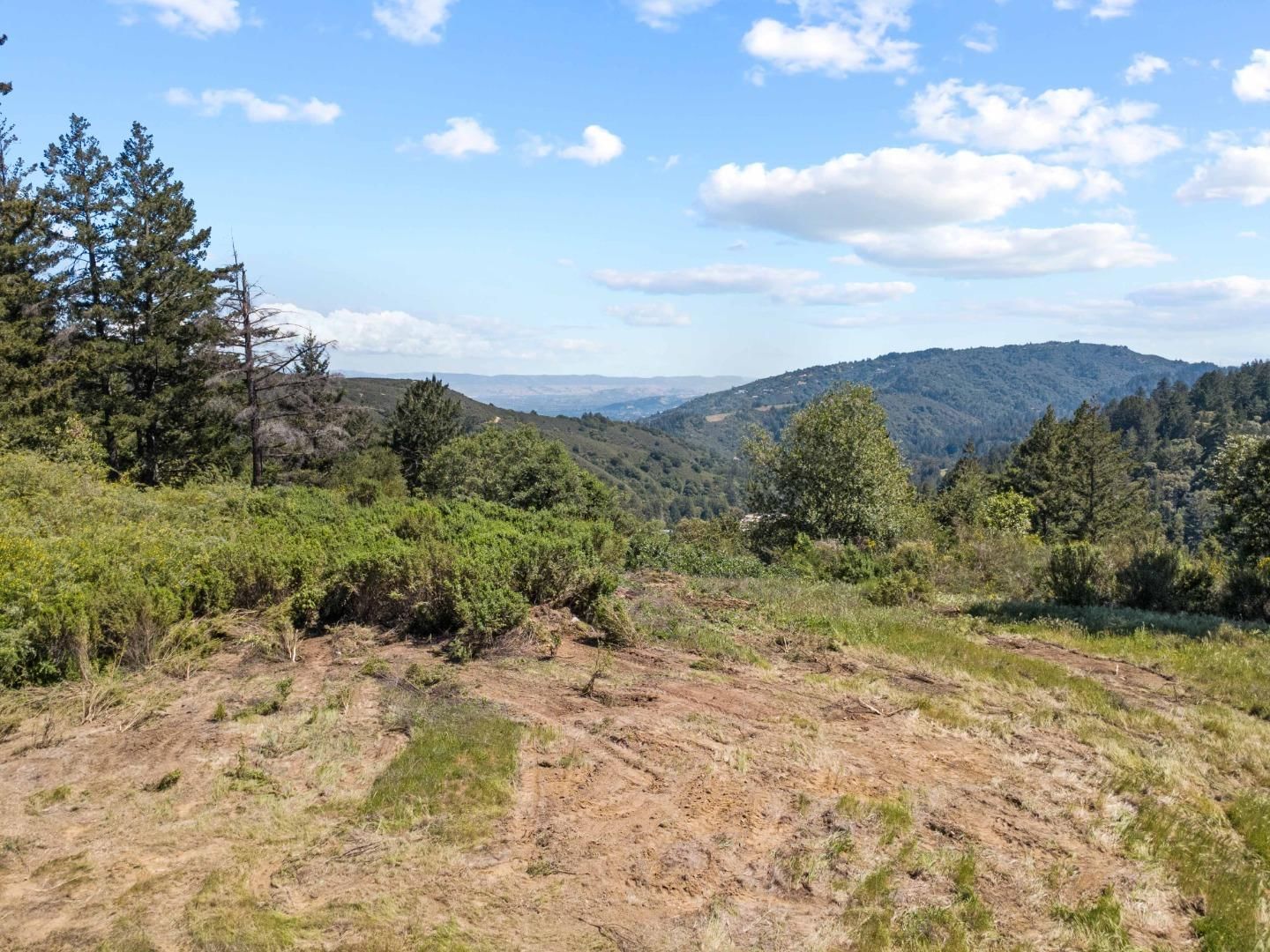Big Basin