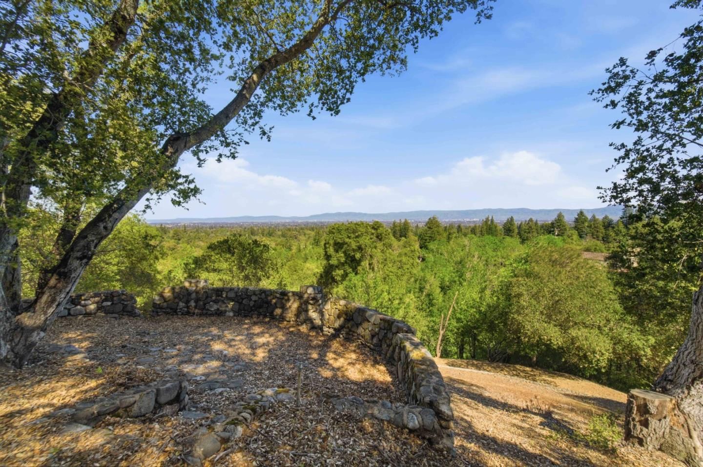 Madrone Hill
