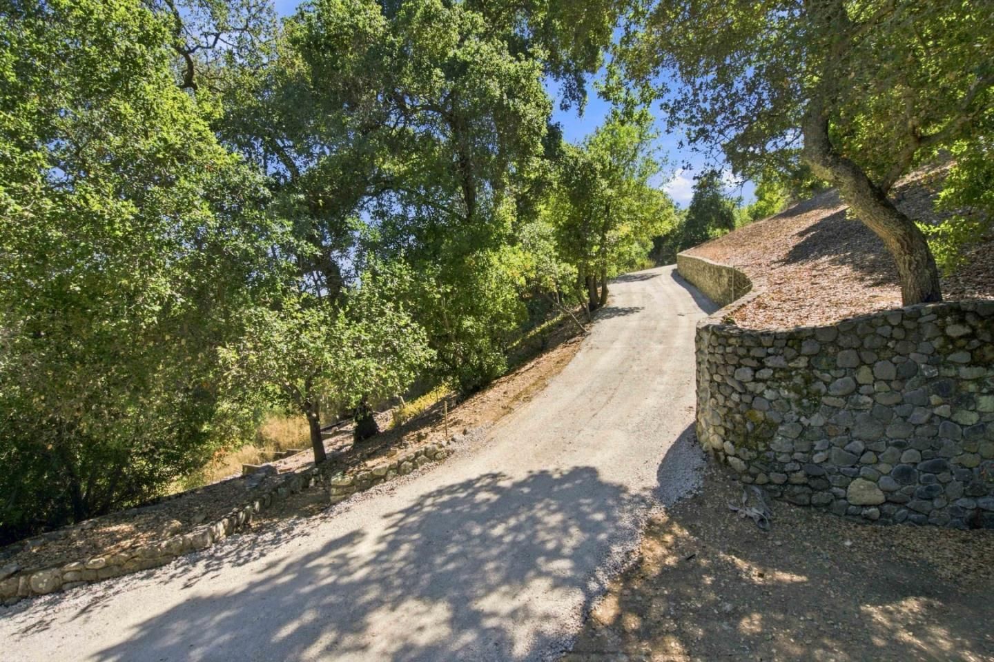 Madrone Hill
