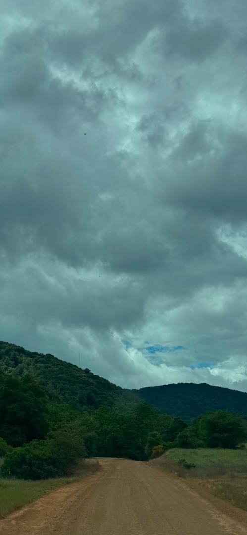 O Uvas Road