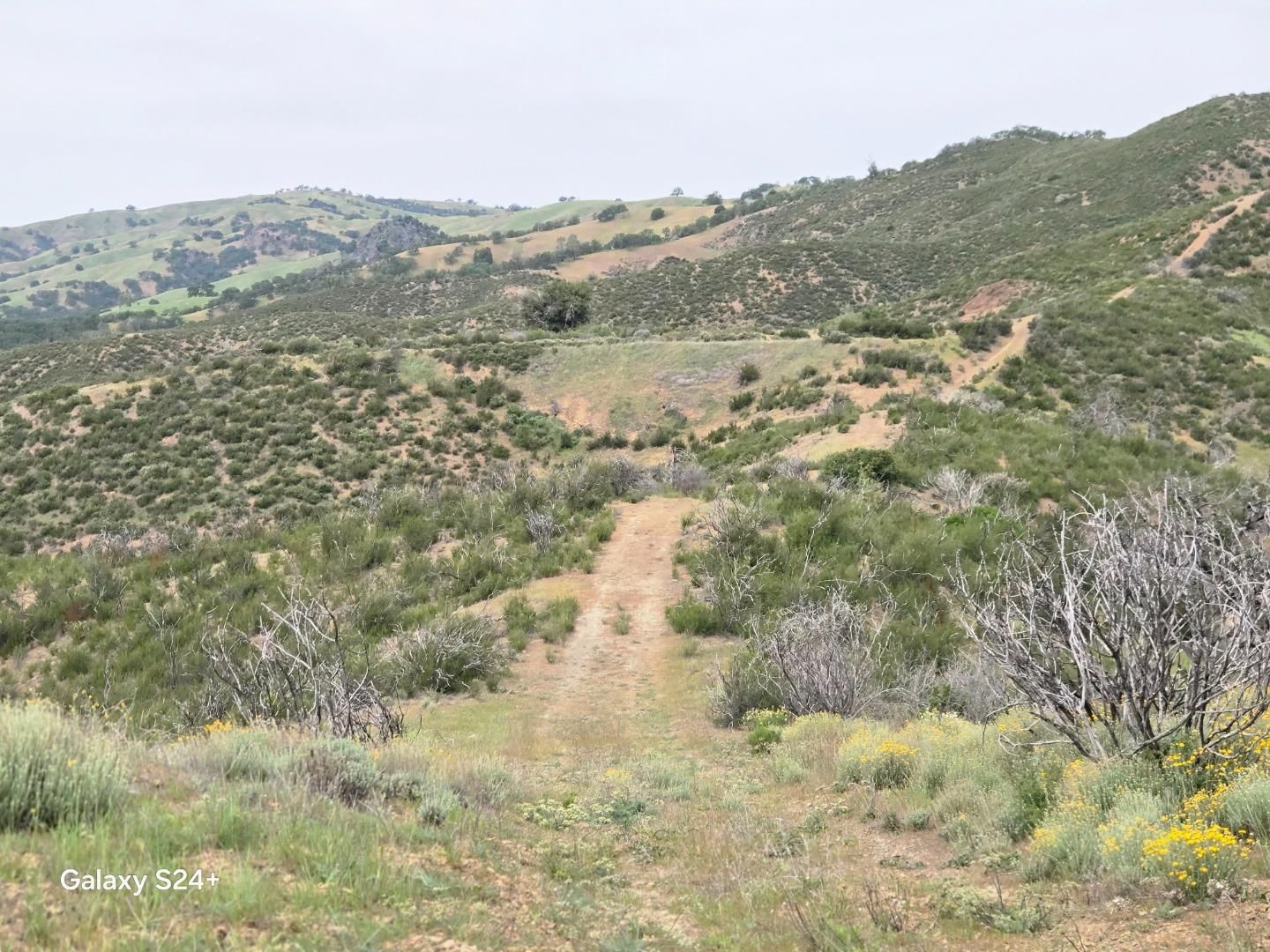 San Antonio Valley