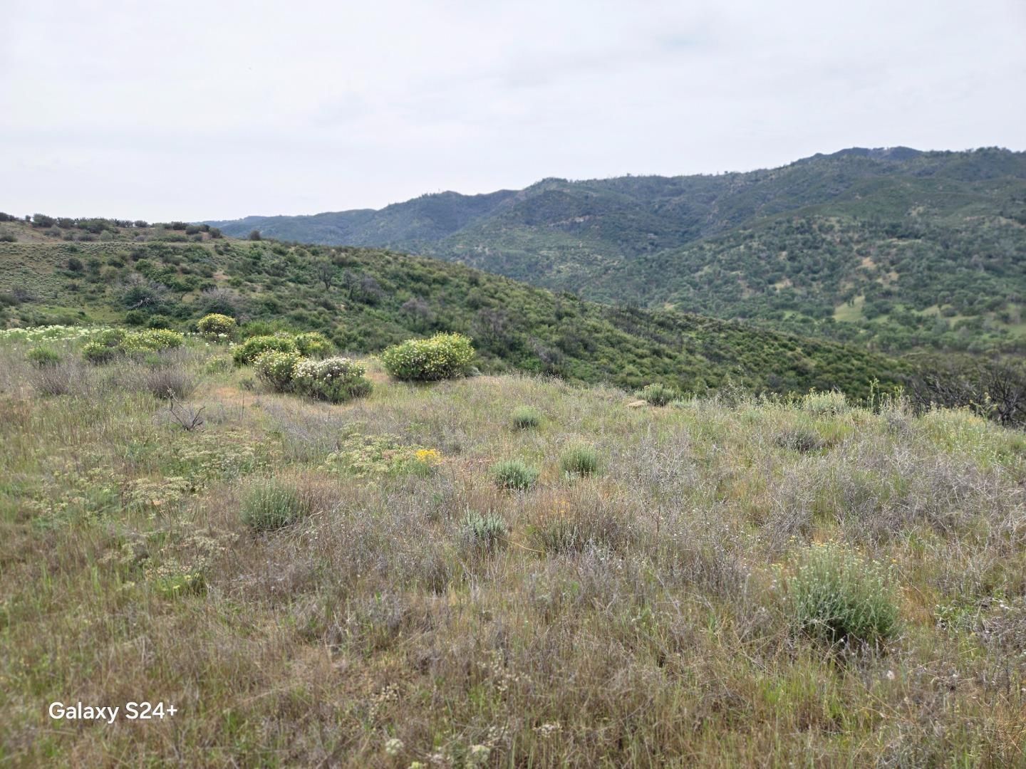 San Antonio Valley