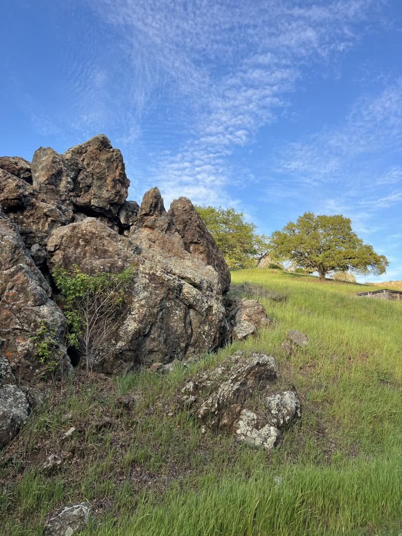 Oak Glen