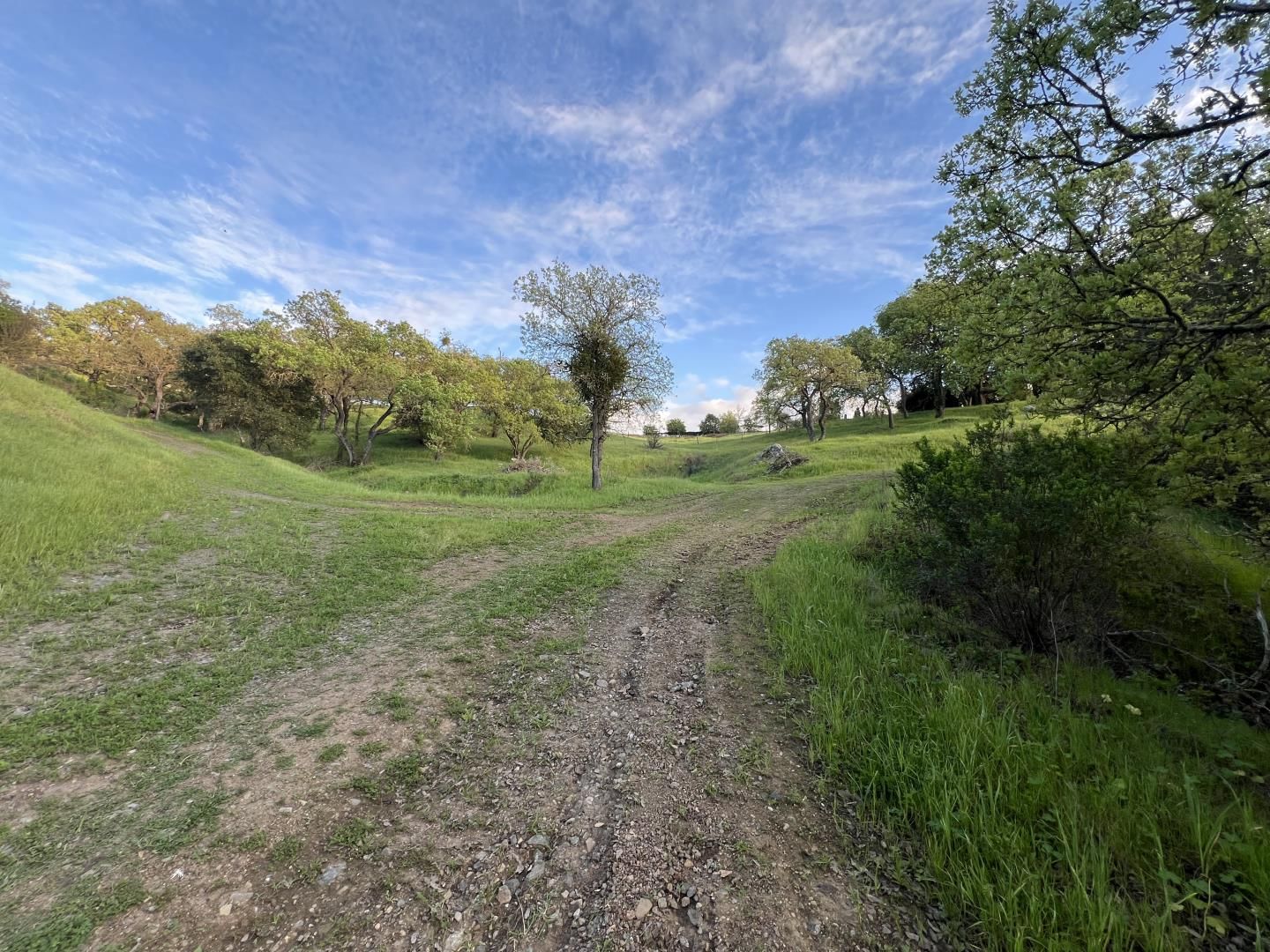 Oak Glen