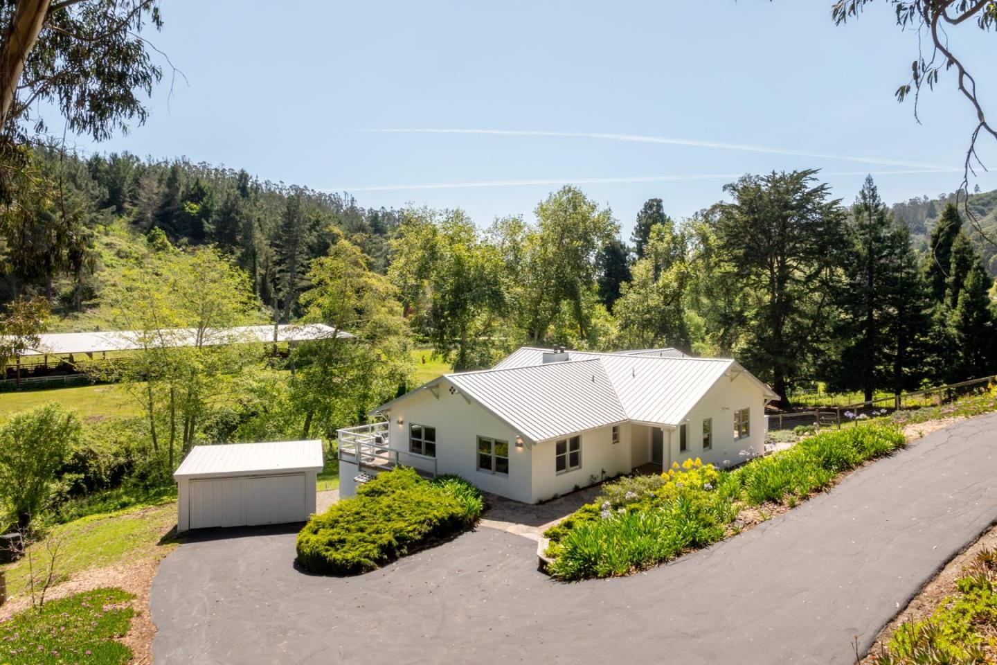 Purisima Creek