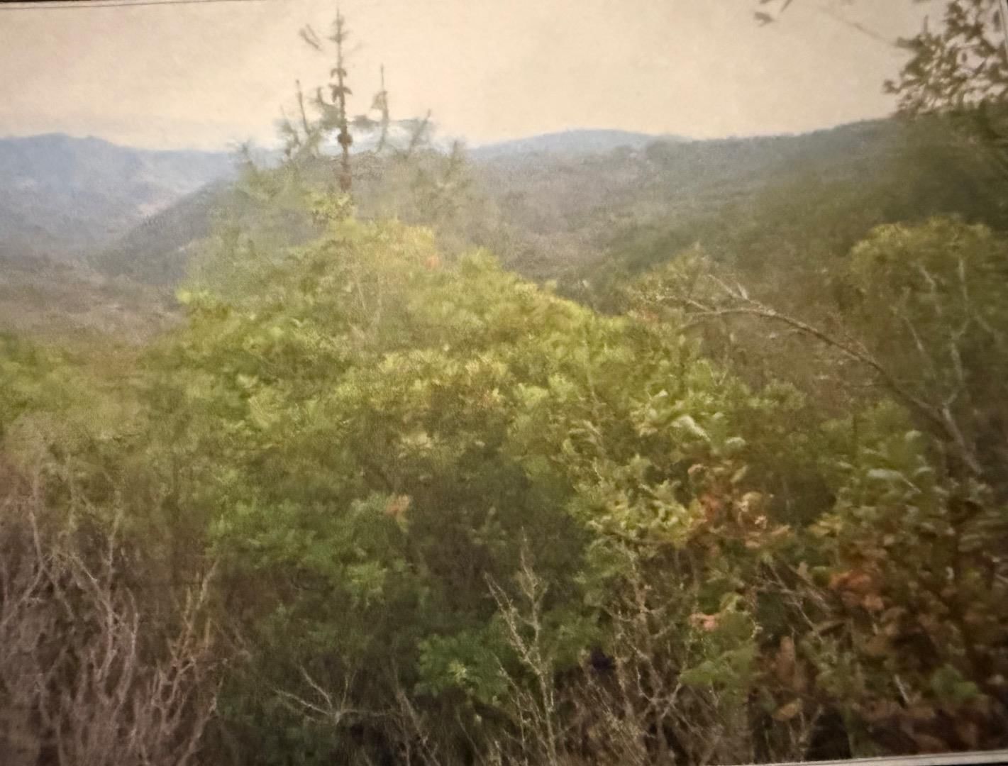 Croy Ridge