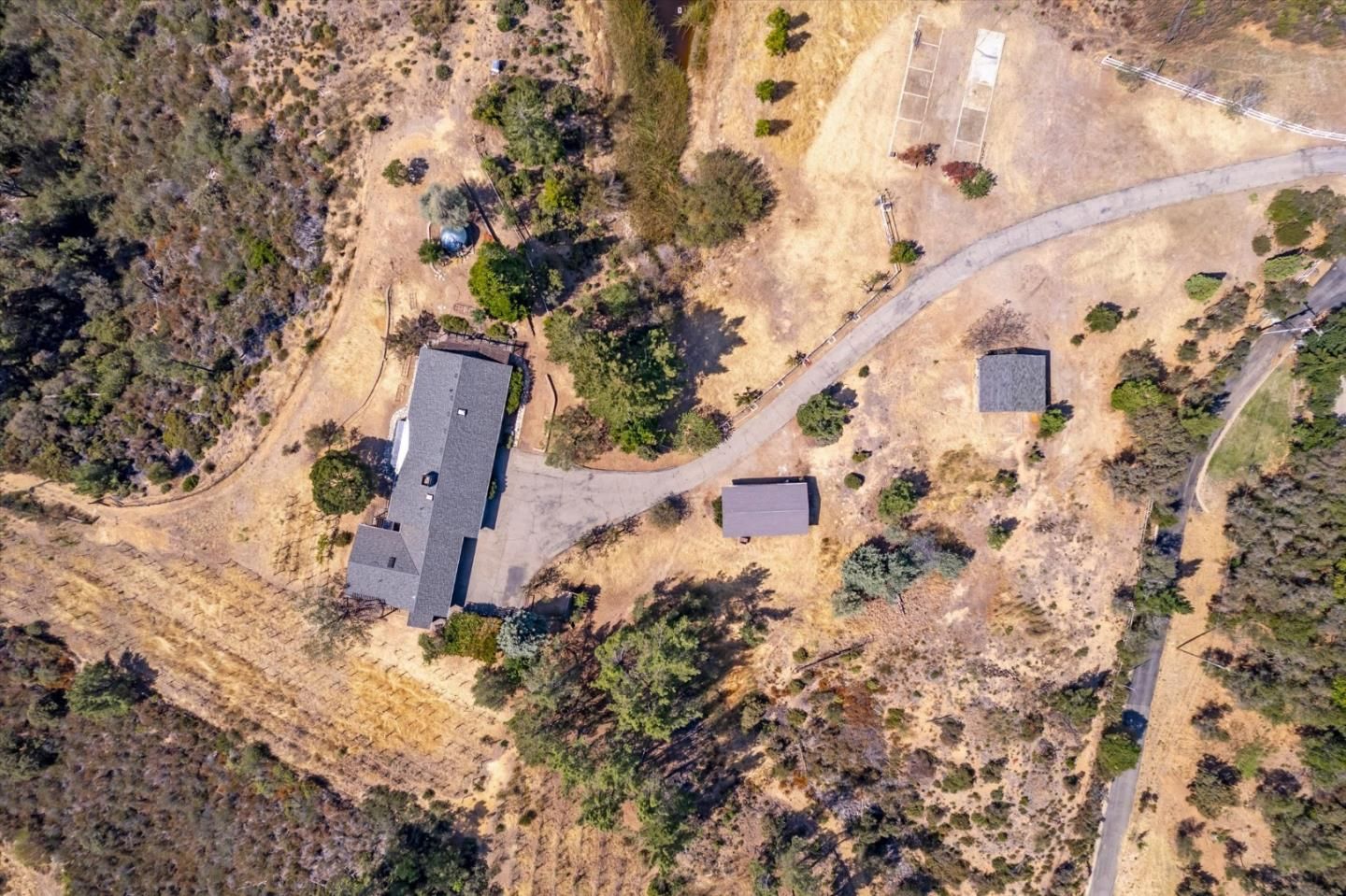 Loma Prieta