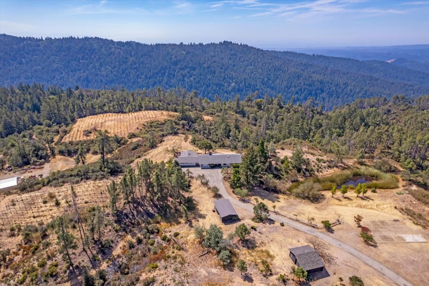 Loma Prieta