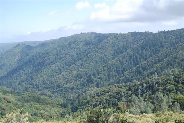 Loma Chiquita