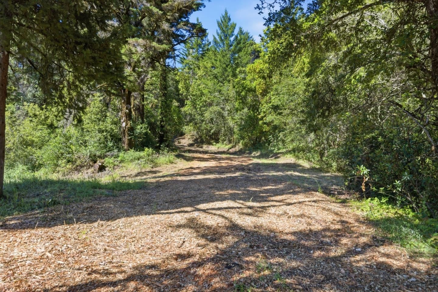 Page Mill