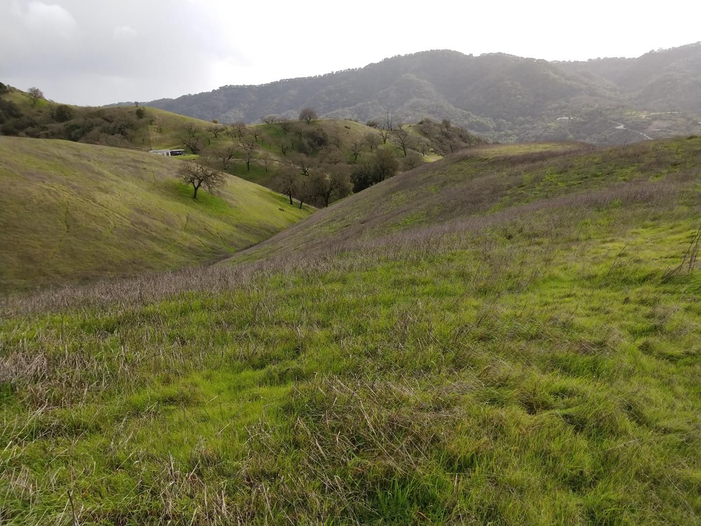 Oak Glen
