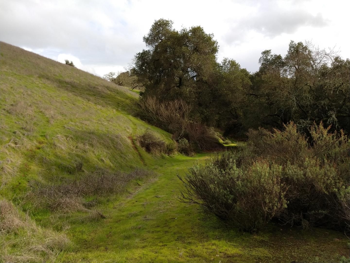 Oak Glen