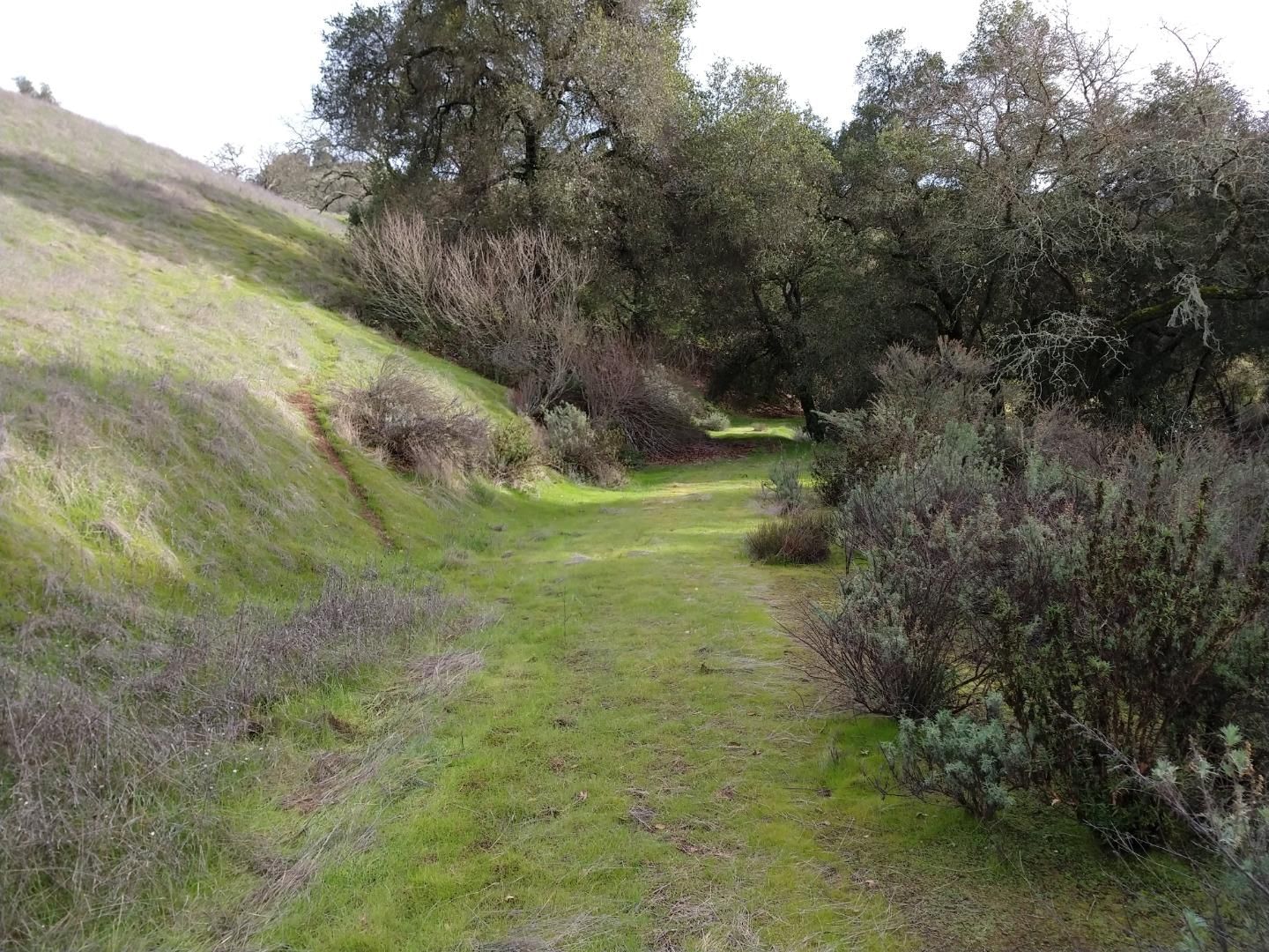 Oak Glen