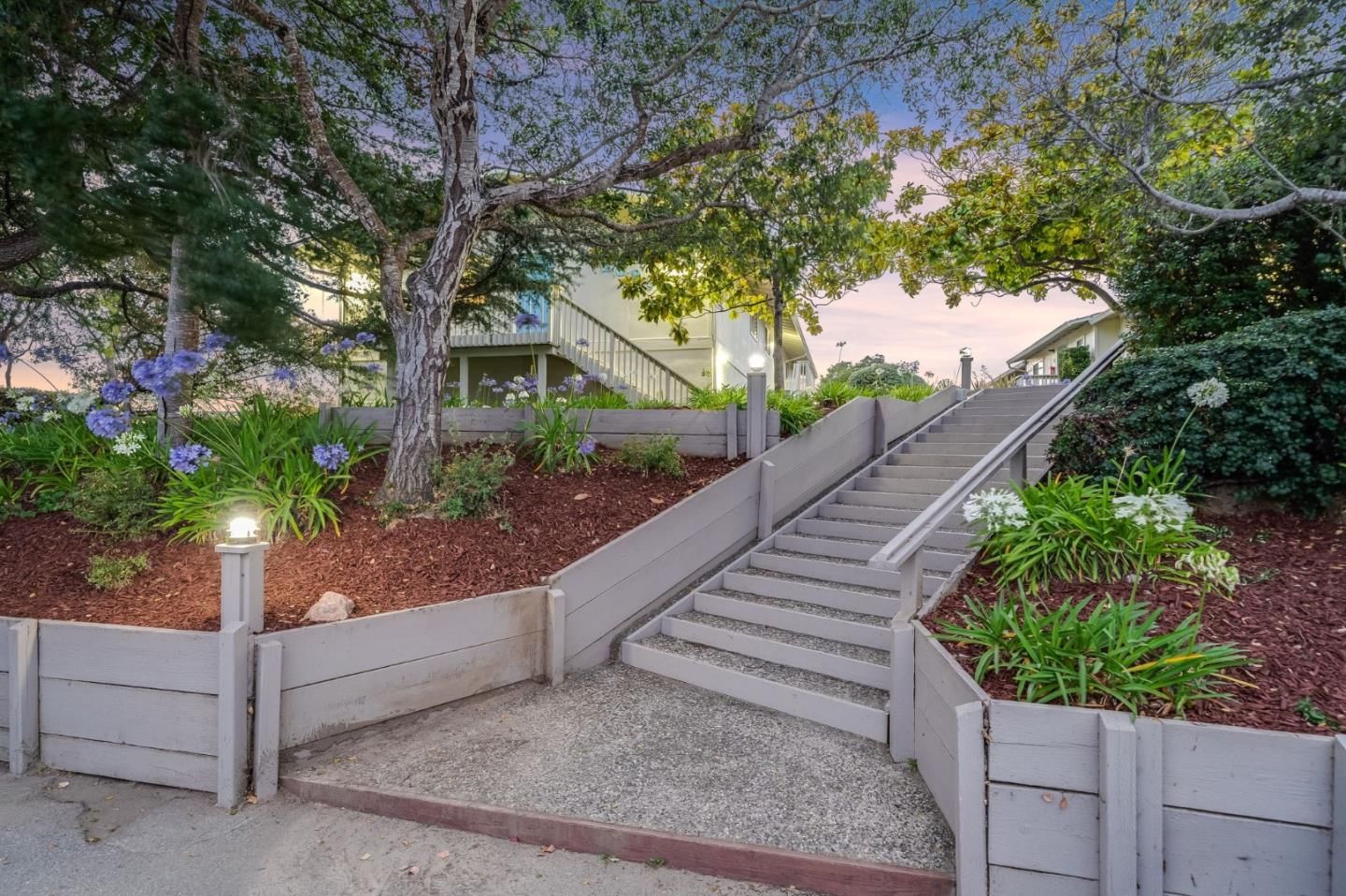 Mar Vista