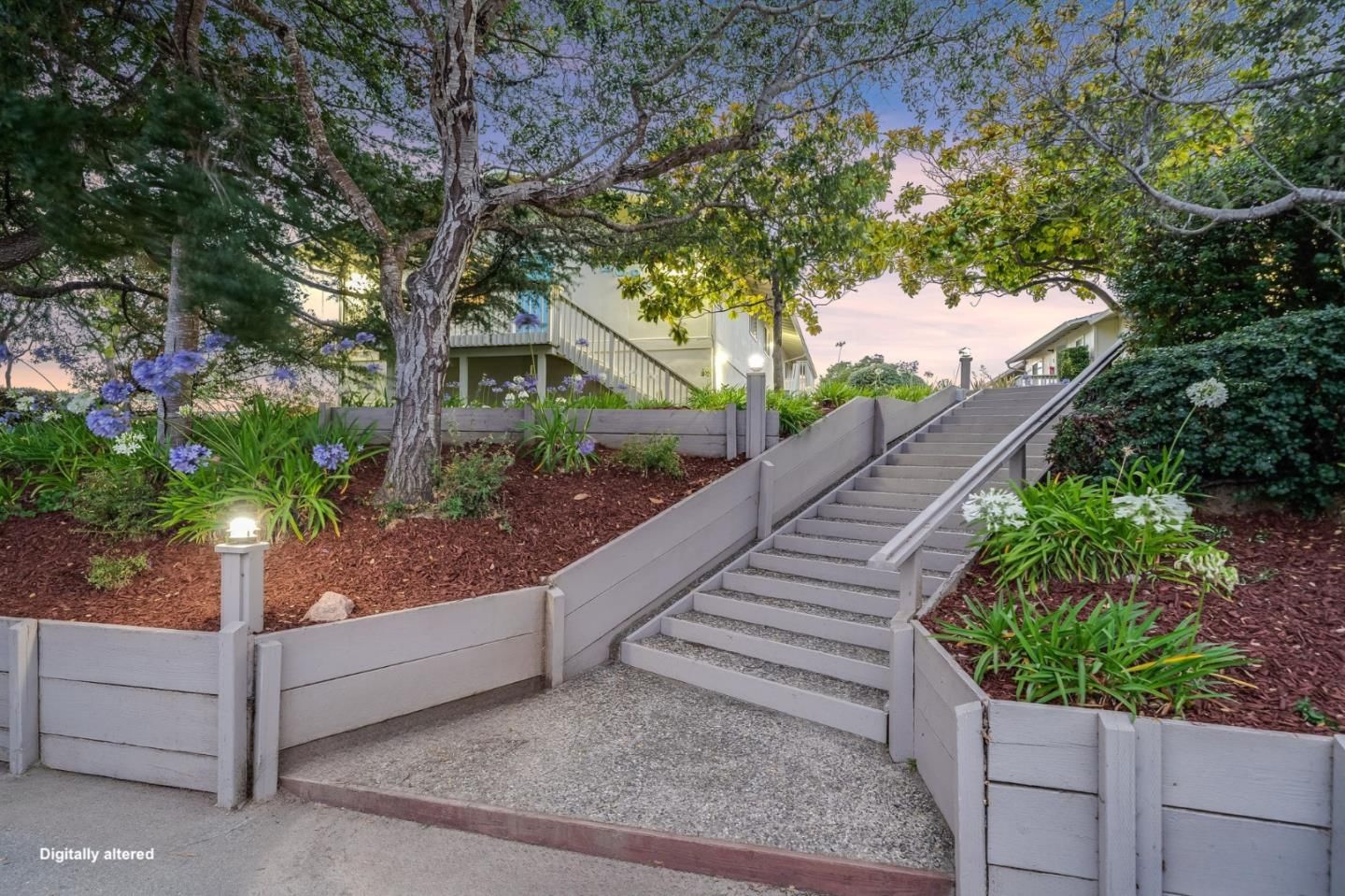 Mar Vista