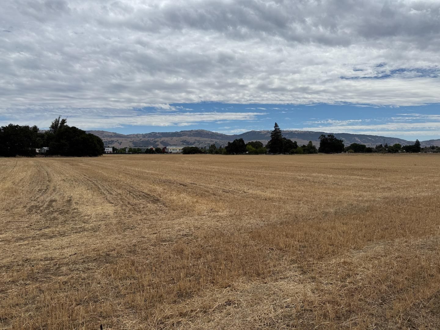 Watsonville Road