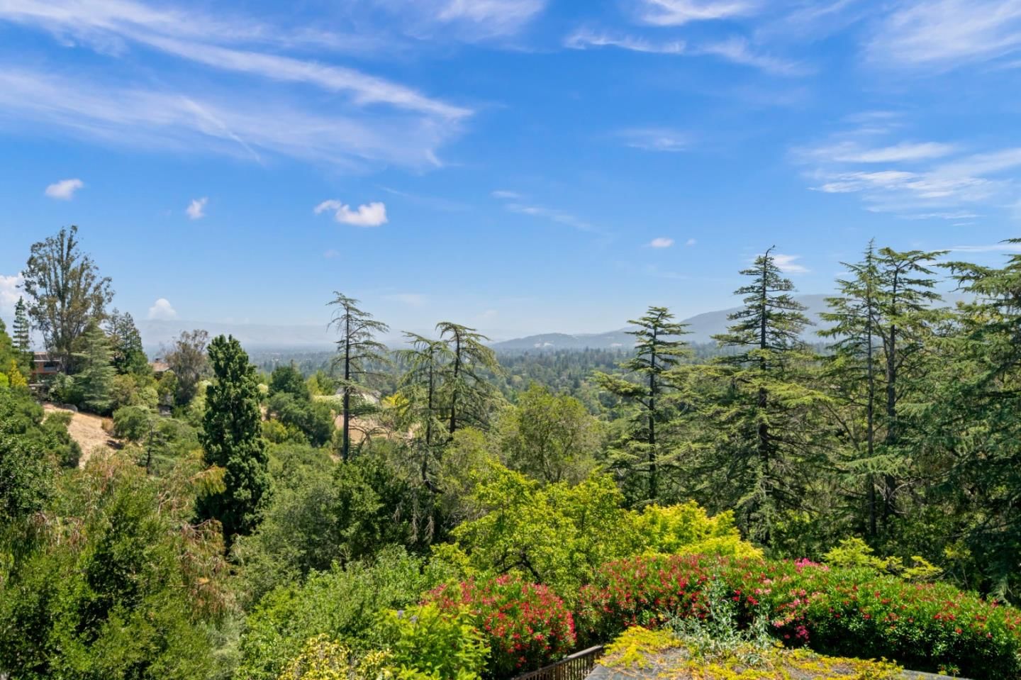 Saratoga Hills