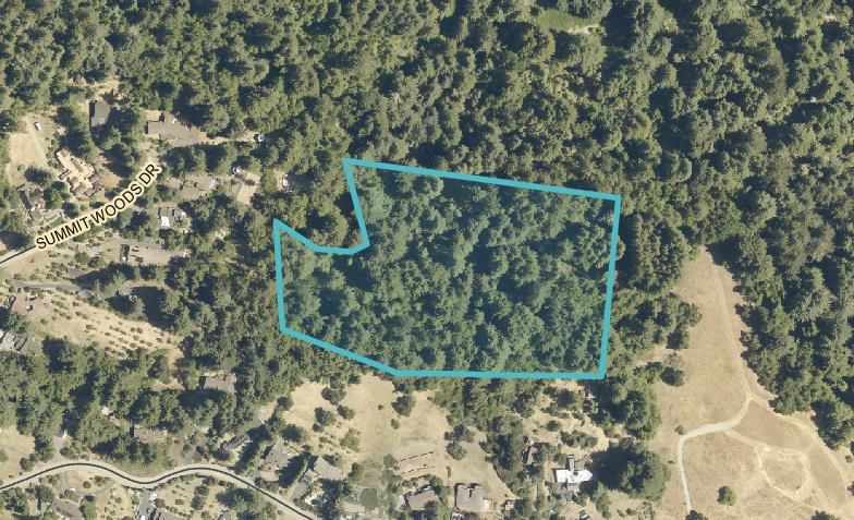 Summit Woods