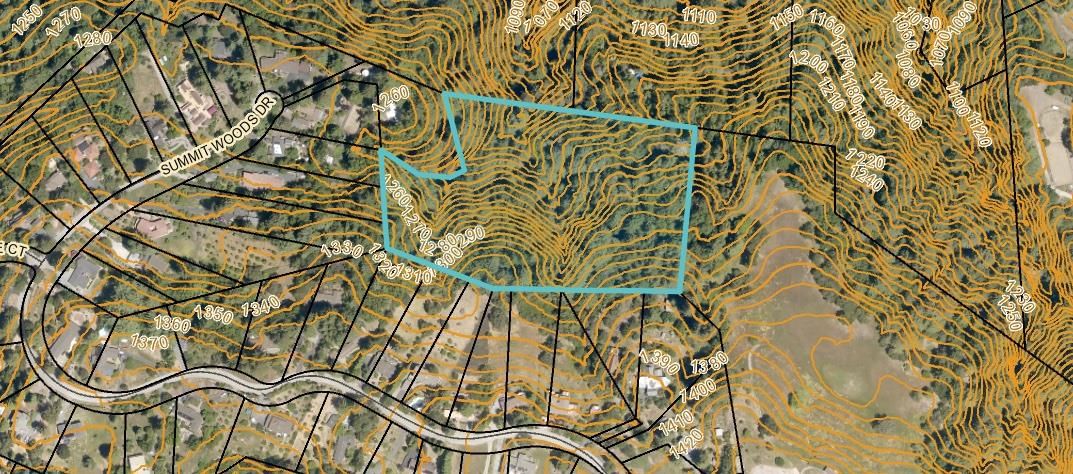 Summit Woods
