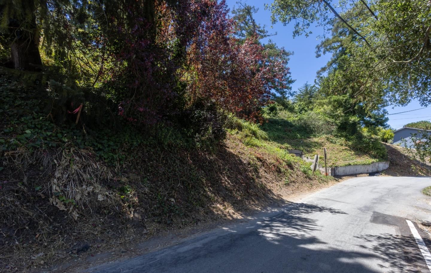 Loma Prieta