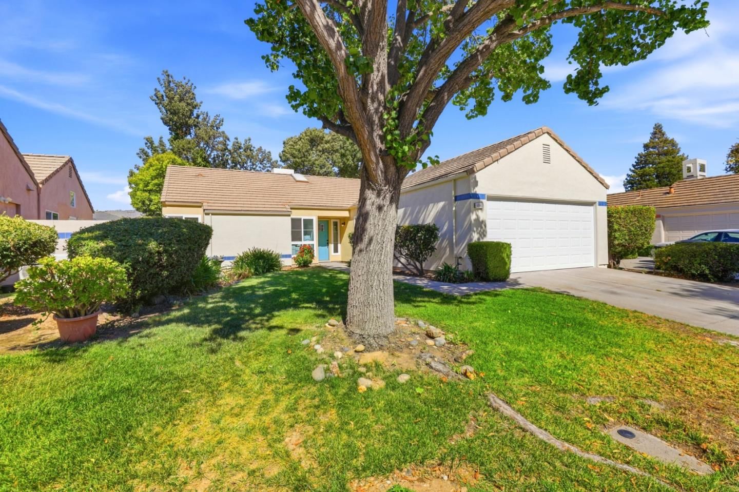 Kelly Park