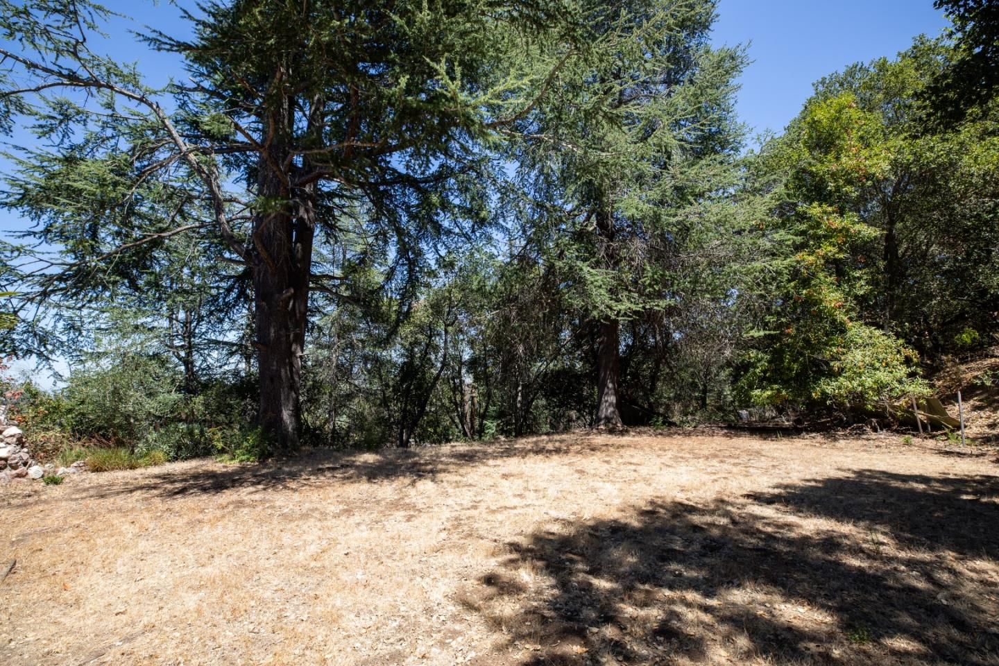 Summit Wood