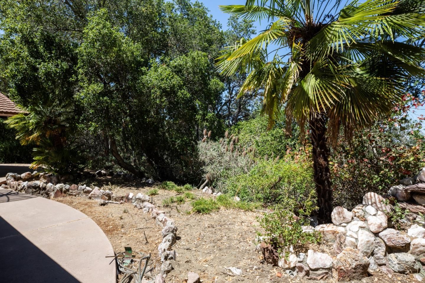 Summit Wood