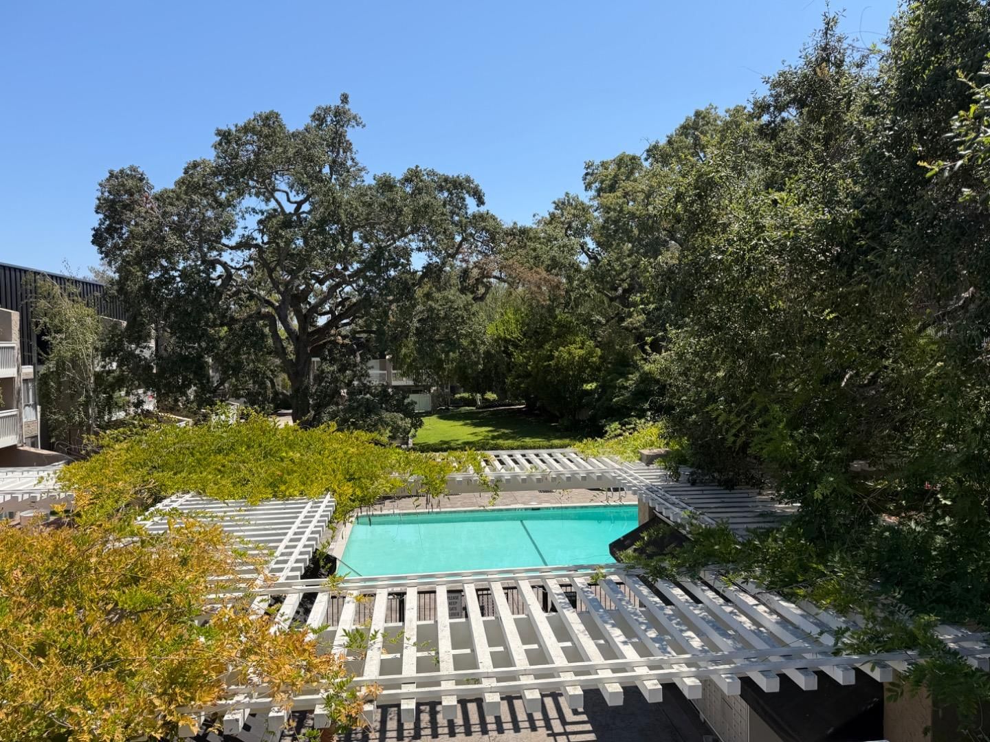 Sharon Park