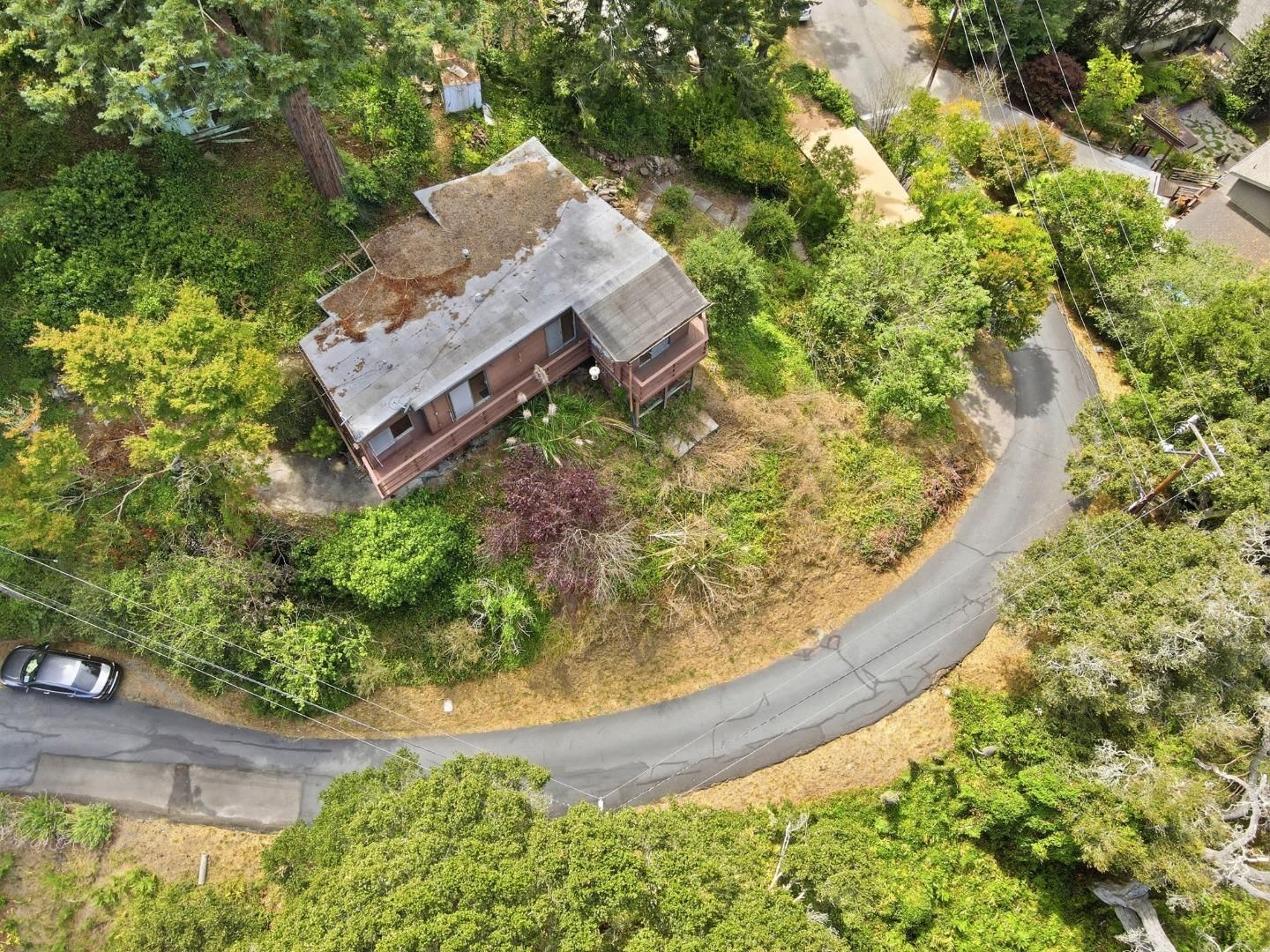 Loma Prieta