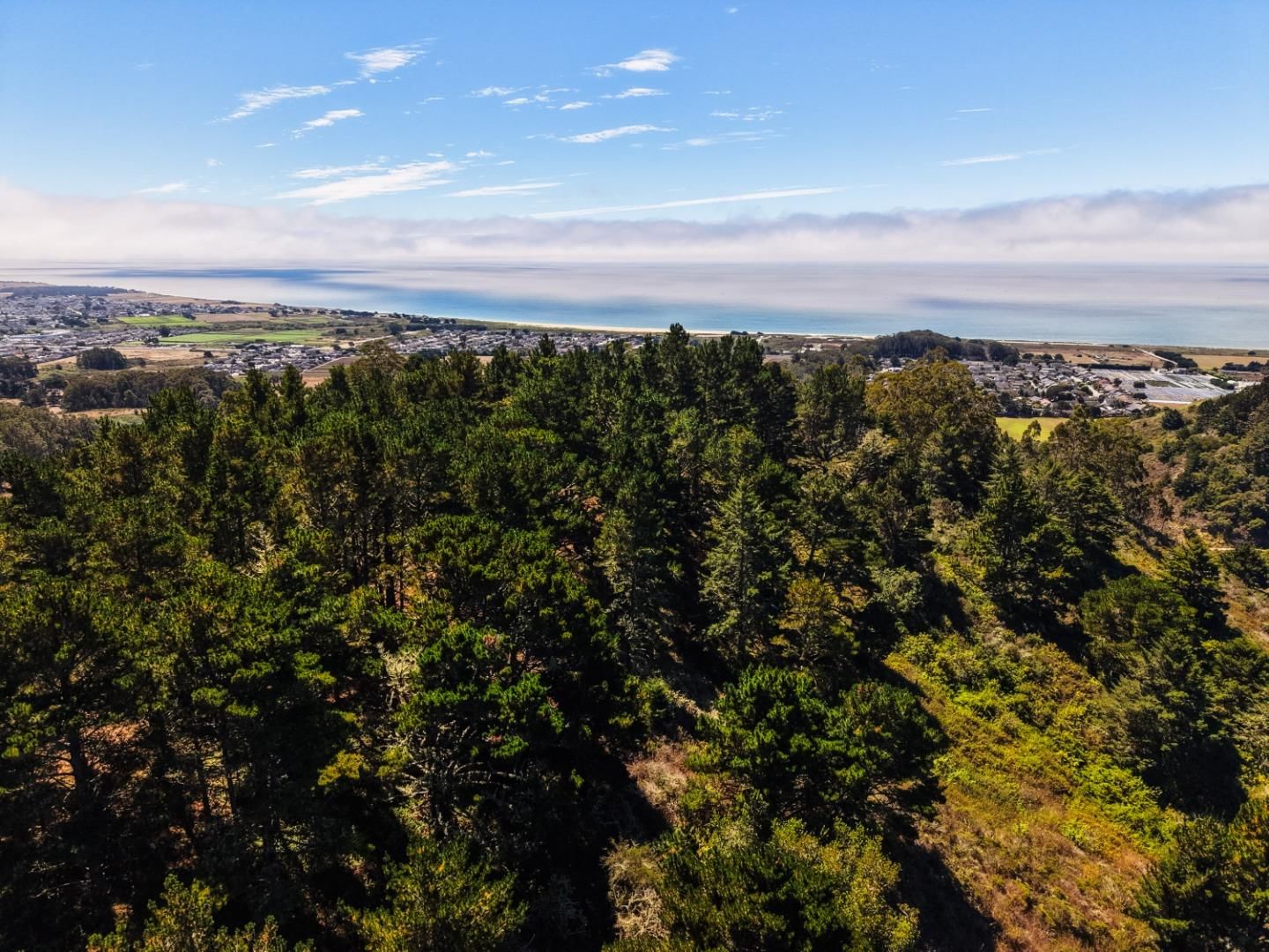 Frenchmans Creek
