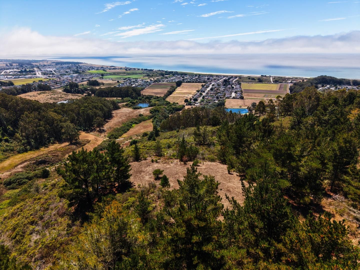 Frenchmans Creek