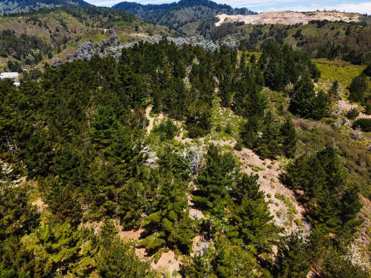 Frenchmans Creek