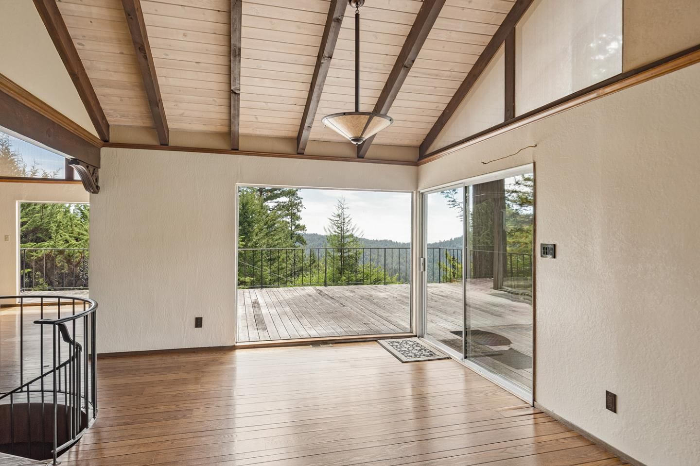 Forest View