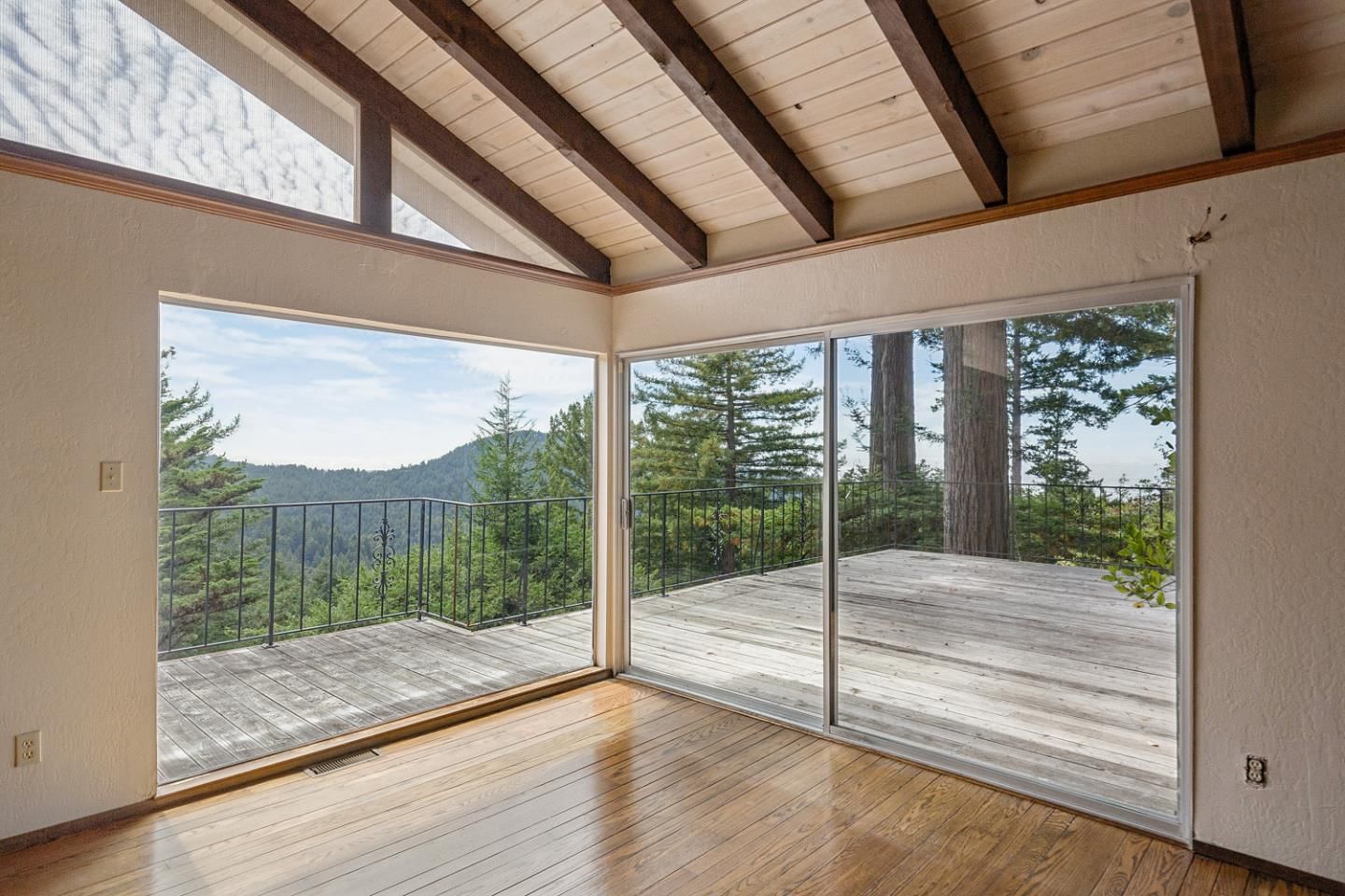 Forest View