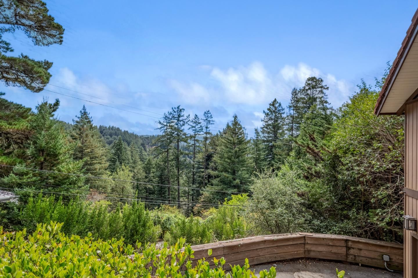Forest View