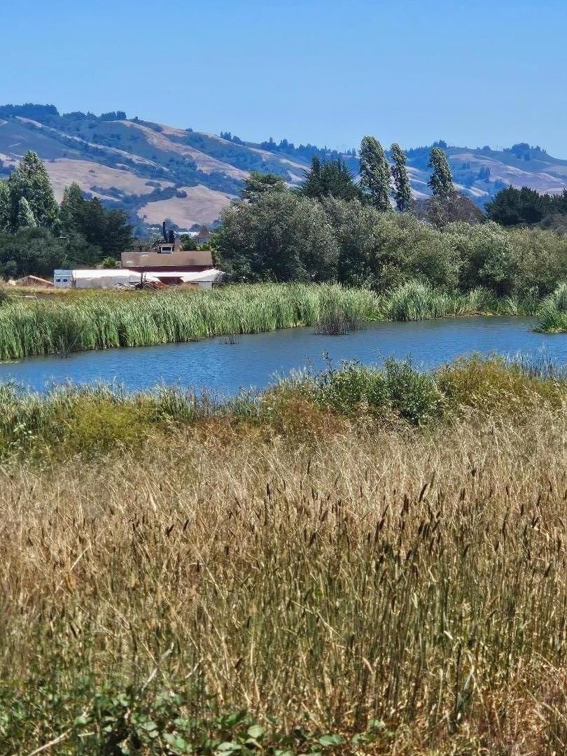 Watsonville