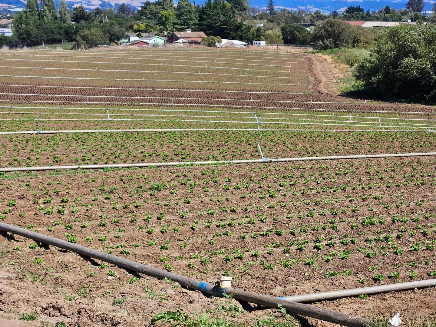 Watsonville