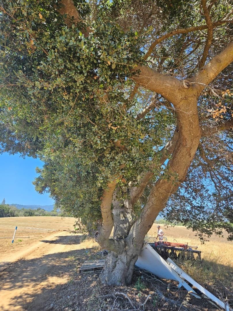 Watsonville