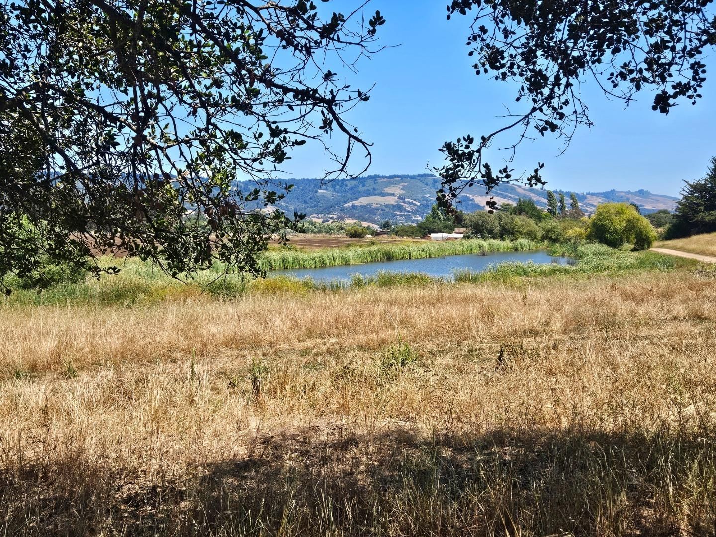 Watsonville