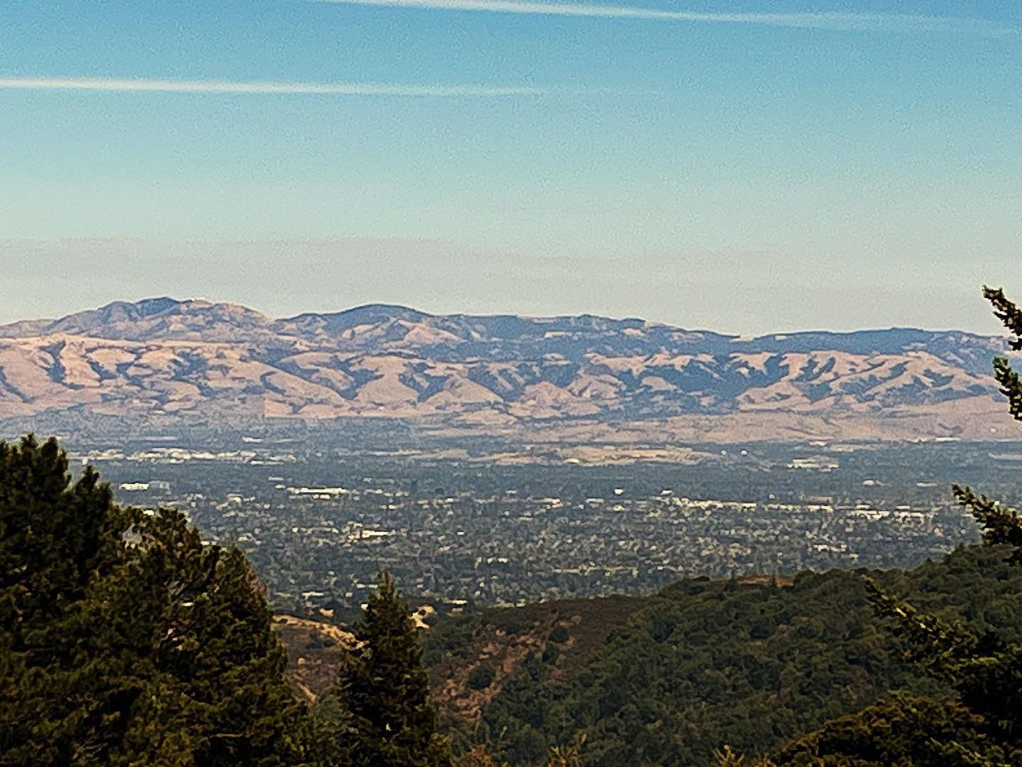 Heather Heights